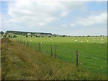 SX1382 : Roughtor Farm, Near Camelford, Cornwall by Pete Chapman