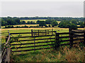 Valley from Thornford Road near Crookham