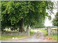 Stone walls leading to farm near Henllan