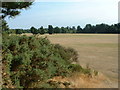 King George V Playing Field, Ferndown