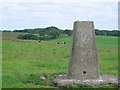 Lochlands Hill trig point.