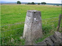 SE2451 : Trig point on Stainburn Moor by Mick Melvin