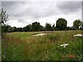 Sandbunker at Rhuddlan