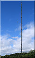 NZ1847 : Burnhope Radio Mast by Dennis Lovett