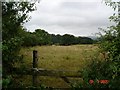 Rough pastureland near Spital