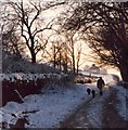 SJ9887 : A winter's day on Cobden Edge, Mellor by Geoff Heath