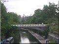 Regents Canal at London Zoo with the Aviary