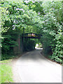 Wangfield Lane Railway Bridge