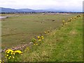 Fields alongside river estuary