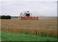 TL4961 : Harvesting wheat near Horningsea by David Gruar