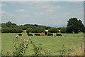 View across farm land near Gorse Covert, Warrington