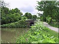 Peaceful Canal Scene