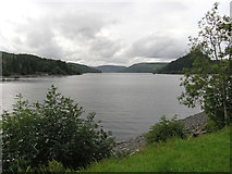 SJ0119 : Llyn Efyrnwy reservoir by John Radcliffe