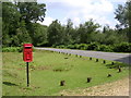 Postbox at Southmead Cottage, near Burley, New Forest