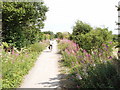SP7803 : Cycle track, formerly railway, Princes Risborough to Thame by David Hawgood
