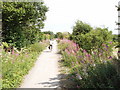 Cycle track, formerly railway, Princes Risborough to Thame