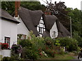 Cottages at Figheldean, Wiltshire