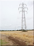 SP7704 : Pylons cross a corn field, by Longwick by David Hawgood