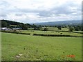 Hillside above Bodfari