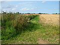 TG3805 : Bridleway from Cantley to Beighton by Golda Conneely
