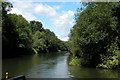 River  Avon  on the Western fringes of Bath