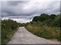 The Lane to The Riddings Farm