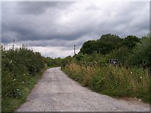SO7144 : The Lane to The Riddings Farm by Bob Embleton