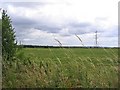 Pasture land south from SJ746918