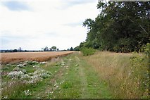 TL7768 : Black Ditches, near Cavenham by Bob Jones