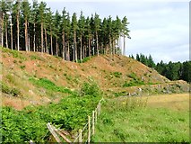 NO6690 : Edge of Forest, Glen Dye by Mick Garratt