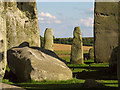 SU1242 : Past the Stones: Stonehenge by Pam Brophy