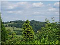 Looking towards Ide Hill