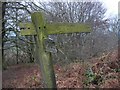 Footpath to Hembury Fort