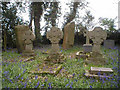J1229 : Mountkearney Burial Ground by paddy heron