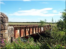 NS4467 : Selvieland bridge by william craig
