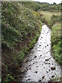 Stream near Carnhot