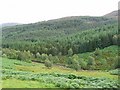 NH3757 : Forestry, Gleann Marcasaidh. by Richard Webb