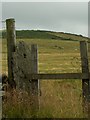 SN6883 : Gatepost and standing stone by Nigel Callaghan