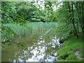 Fishing Pools at Mill Brook