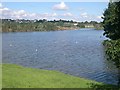 Freshwater Lake, Millbrook