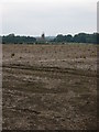 SK8419 : Harvested field near Wymondham by Kate Jewell