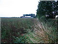 Countryside near Teigh, Rutland