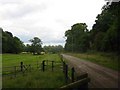 Entrance road to Little Munden Farm