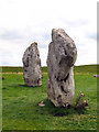SU1069 : Two Avebury Stones by Chris Collard