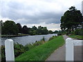 Tow path towards Staines