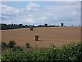 Straw stacks, Kings Somborne