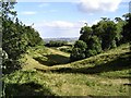 View near Blagdon