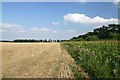 TL7567 : Farmland near Cavenham by Bob Jones