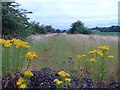 Disused Railway at Cargill