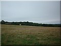 SH4474 : Pasture land by Dave Smethurst